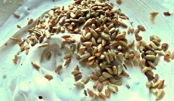 ореховое безе