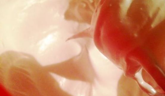 шоколадное безе