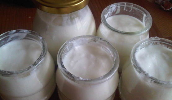 домашний йогурт