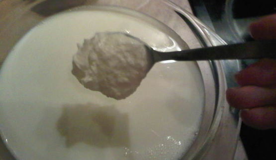 домашний йогурт