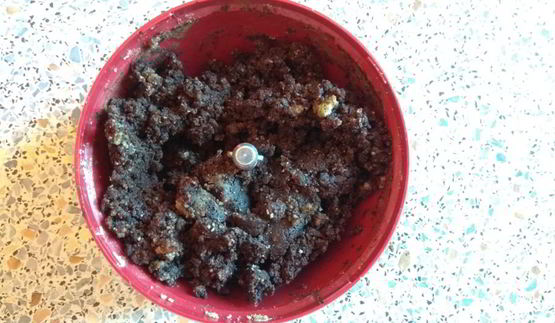 шоколадные конфеты брауни