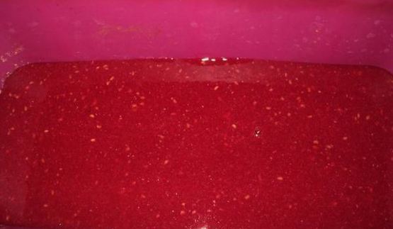 малиново-шоколадный семифредо