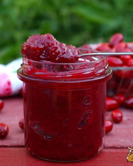 Рецепт мармелада из кизила