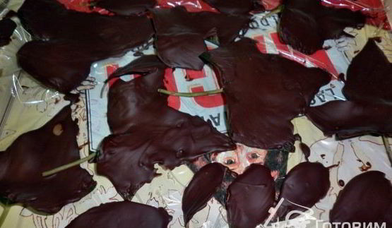 грушевый мусс на шоколадных листьях