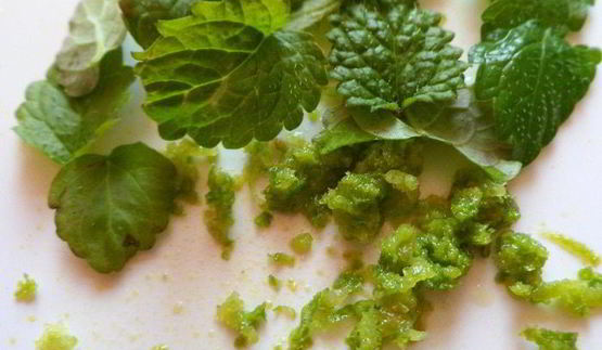 мусс из авокадо с клубникой и шоколадом