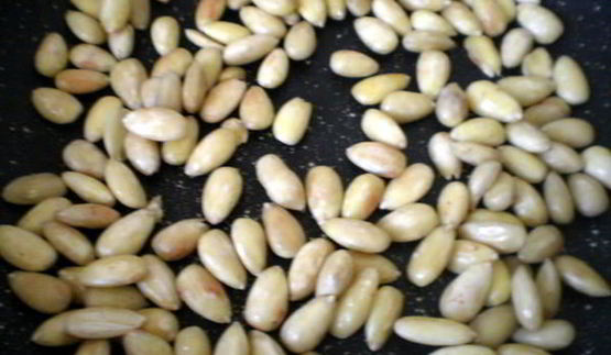 паасброд — нидерландский пасхальный хлеб