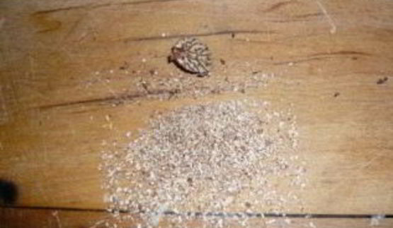 сырное фондю без вина