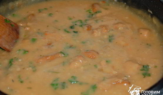 драники с грибами и грибным соусом