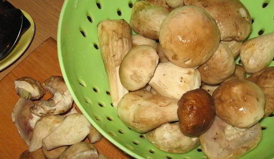 картофель с грибами по-селянски