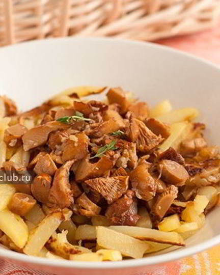 Рецепт жареной картошки с лисичками