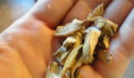 жареная картошка с сушеными грибами