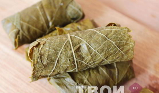 долма в виноградных листьях