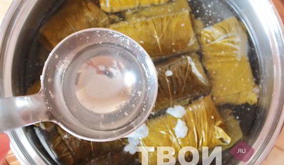 долма в виноградных листьях