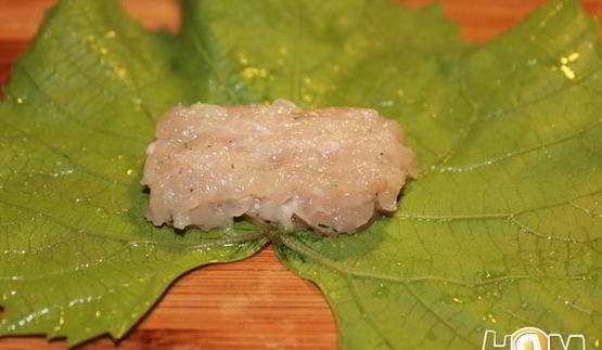 голубцы из виноградных листьев