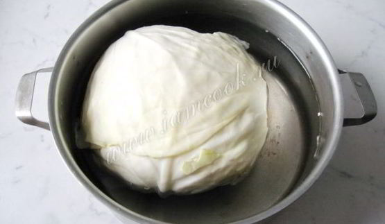 голубцы в сметанном соусе