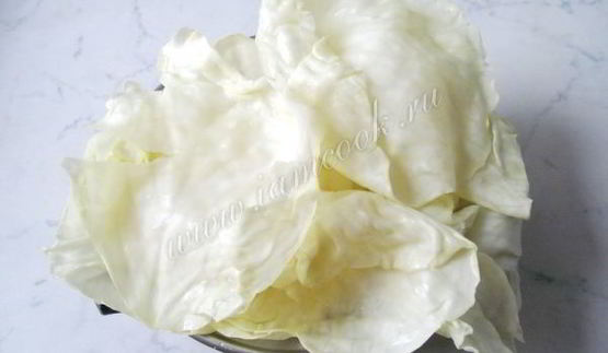 голубцы в сметанном соусе