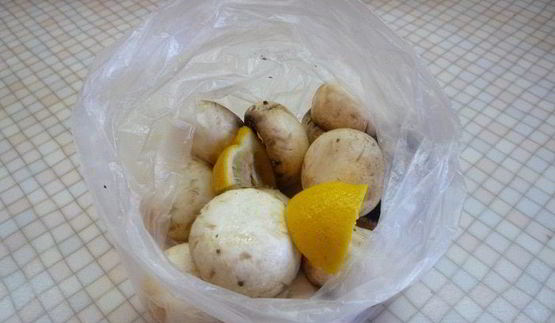 ароматные шампиньоны с моцареллой и помидорами на гриле