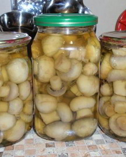 Рецепт домашних консервированных шампиньонов