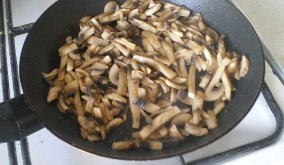 грибы бристольские