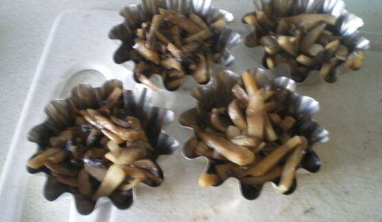 грибы бристольские