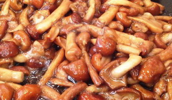 опята, запеченные в сырном соусе