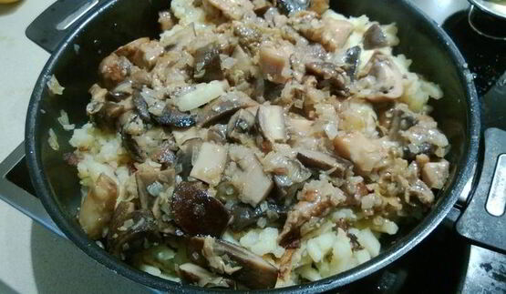 рибай, грибы, картошка — праздник