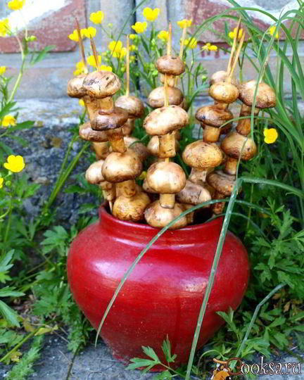 Рецепт шампиньонов на шпажках на мангале