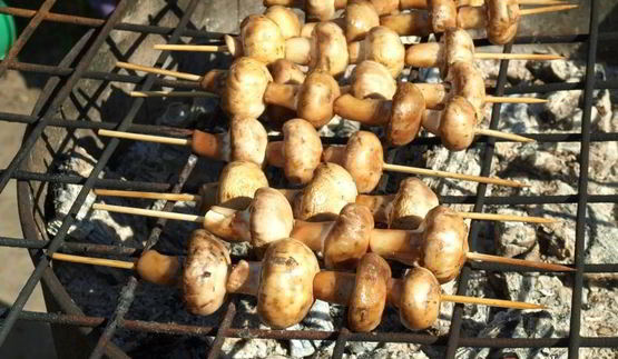 шампиньоны на шпажках на мангале