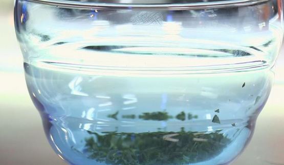 шампиньоны с яйцом и зеленью