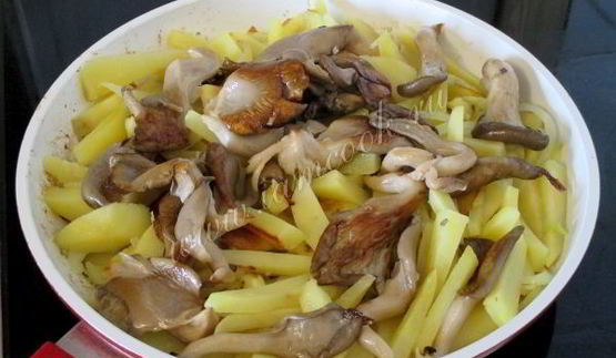 вешенки жареные с картошкой