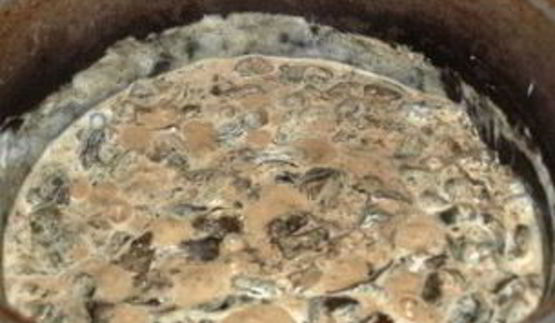 запеченные моховики