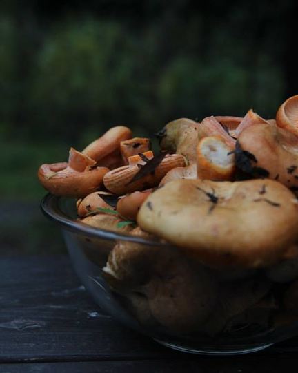 Рецепт жареных рыжиков