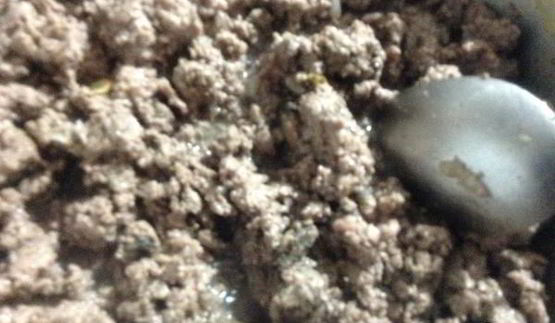 лазанья из савойской капуты