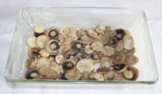 лазанья с лососем