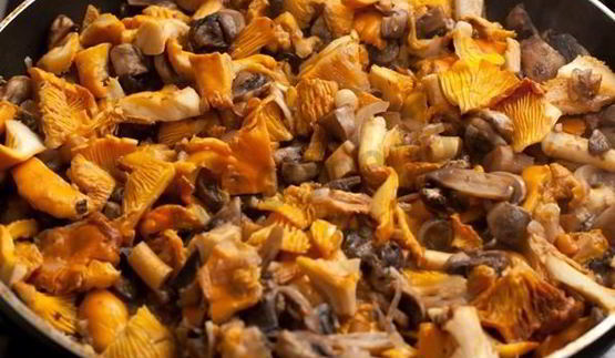 лазанья с сыром и грибами