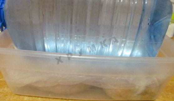 свиной желудок фаршированный