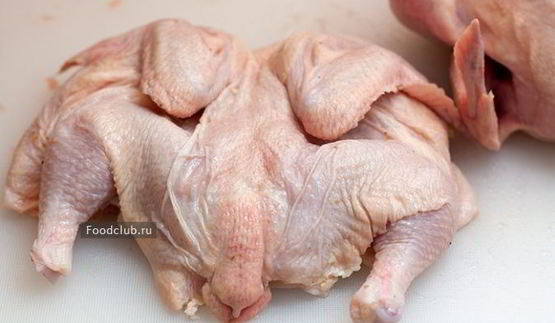 цыпленок чкмерули