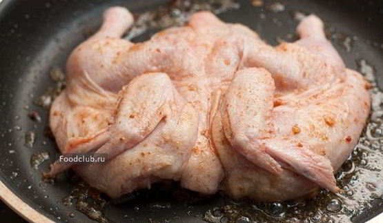 цыпленок чкмерули