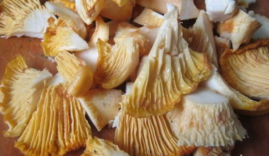 куриная печень с лисичками в сметанном соусе