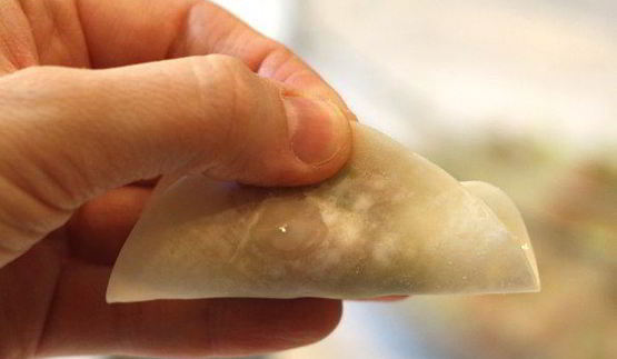 японские жареные пельмени