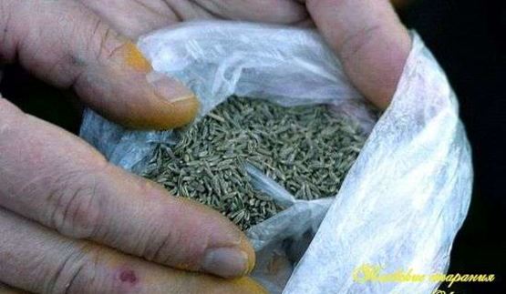 плов классический