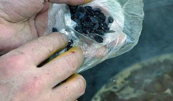 плов классический