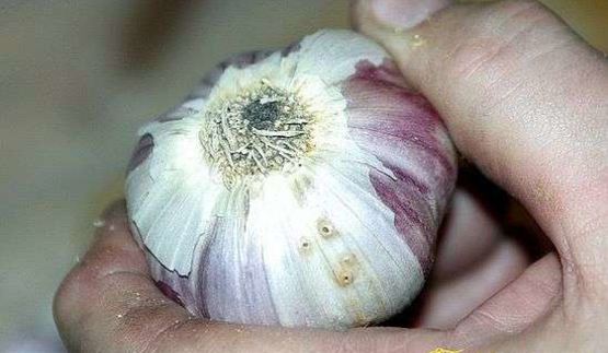 плов классический