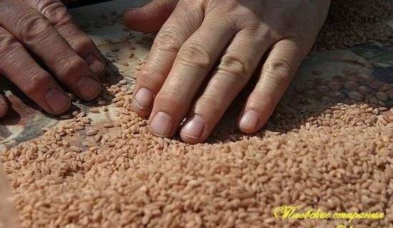 плов классический