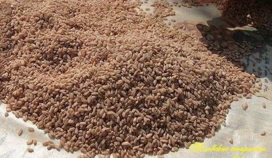 плов классический