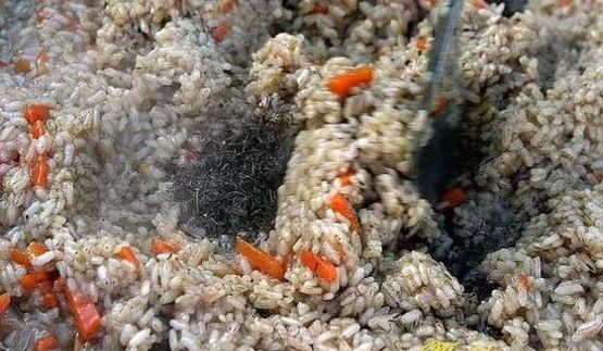 плов классический