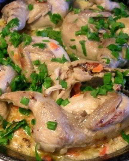 Рецепт фрикасе из куропатки