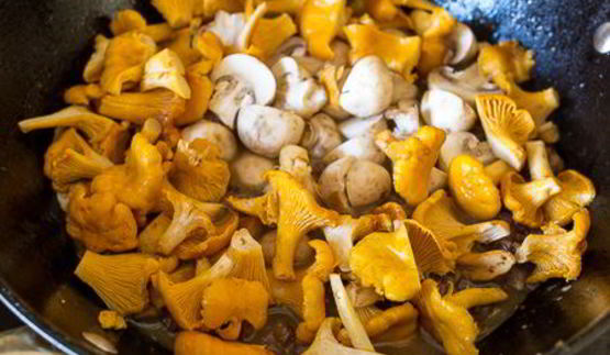 грибное рагу с уткой