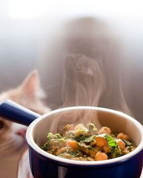 Рагу из чечевицы и белых грибов