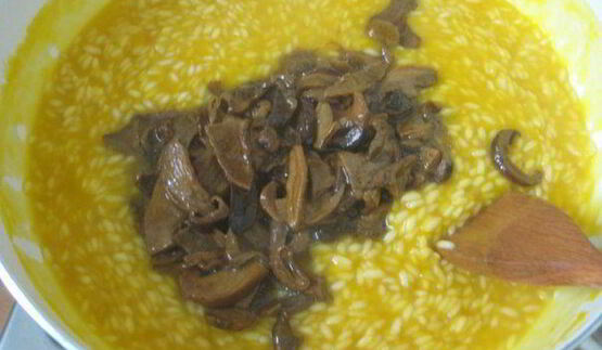 ризотто с тыквой и белыми грибами